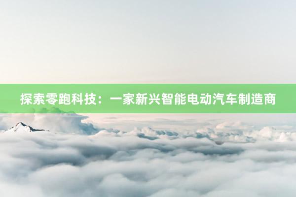 探索零跑科技：一家新兴智能电动汽车制造商