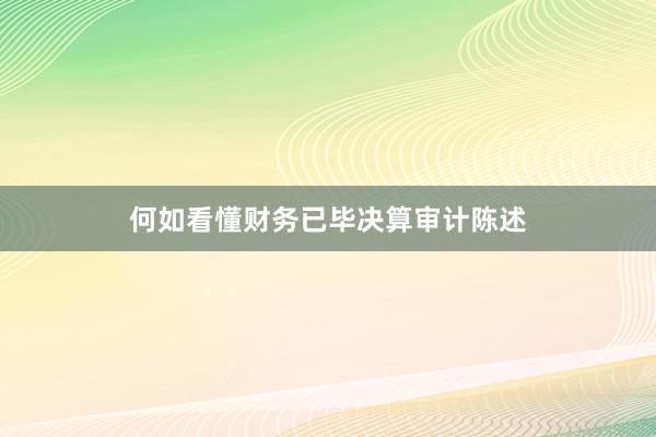 何如看懂财务已毕决算审计陈述